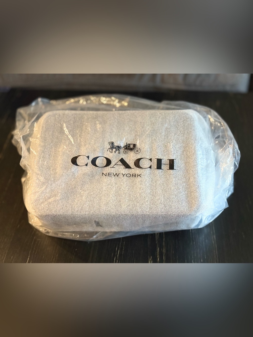 COACH Charter Crossbody 24 | Graphic Logo | Charcoal | NWT | Original Packaging - Picture 6 of 9